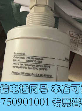 全新闲置全新E+H液位计探头FDU91-RG1AA工程剩余未使询价