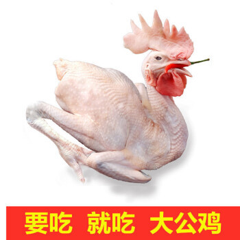 生鸡 散养本地小公鸡 现杀土公鸡  3斤左右 顺丰包邮（免费剁好）