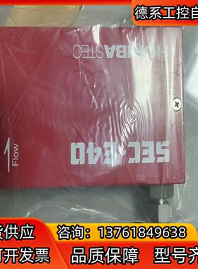 HORIBA STEC堀场气体计 SEC-E40