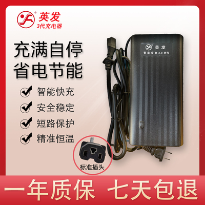 英发充电器新国标适用于爱玛小刀雅迪金箭台铃新日绿源铅酸充电器