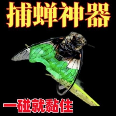 捕禅套装小绿手抓知了神器小绿球