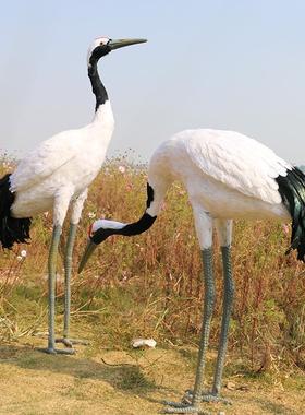 采购产品模拟丹顶鹤饰品，真羽毛，黑颈鹤，园林景观，园林装饰鹤