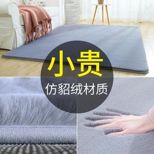 轻奢简约加厚卧室地毯客厅地垫房间长毛绒床边毯家用可睡可坐水洗