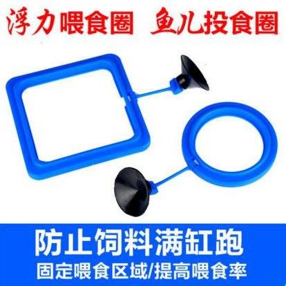 鱼食投喂圈鱼儿喂食圈 鱼儿投食圈 水族箱漂饲料浮喂食圈带吸盘,宠物/宠物食品及用品,其它水族用具设备,淘宝优惠券,粉丝福利购,淘宝优惠卷