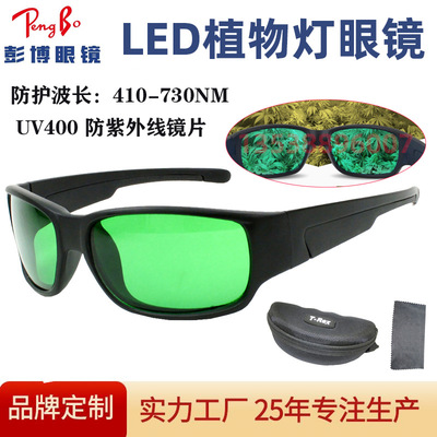 定制LOGO室内帐篷种植护