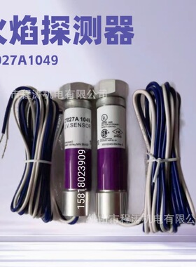 霍尼韦尔Honeywell火焰探测器 C7027A1049 C7027A1023 C7035A1064