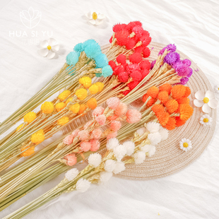 花草莓果仿真干花千日红干永生花手工diy材料花束资材装饰摆件