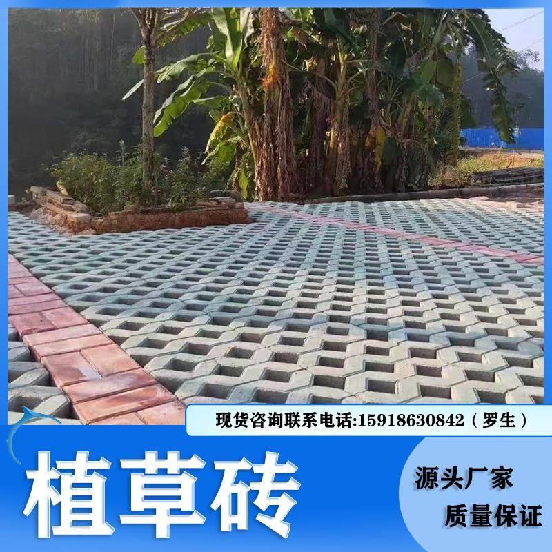 老字号厂家供应8字草坪砖绿色井字植草砖小区园林别墅混凝土井字
