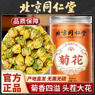 北京同仁堂黄菊花中药材菊花茶正品官方菊花干上火泡水喝
