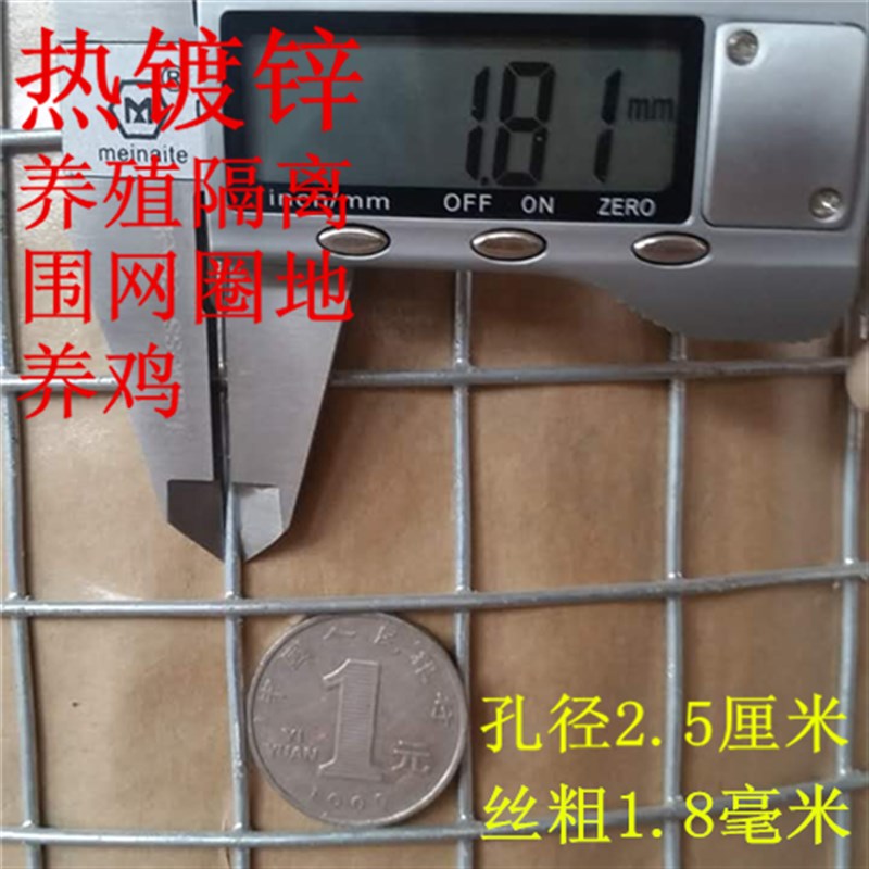 厂销镀锌铁丝网养殖拦鸡网家用围栏网整卷围网小孔钢丝防护网格品