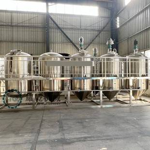 全套亚麻籽油生产设备冷榨山桐子精炼油设备中小型玉米油生产线