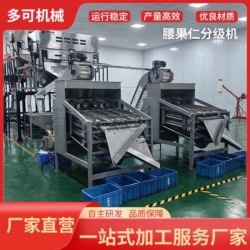 专业生产腰果仁自动脱皮机剥壳去皮生产线去红衣机分级蒸煮设备