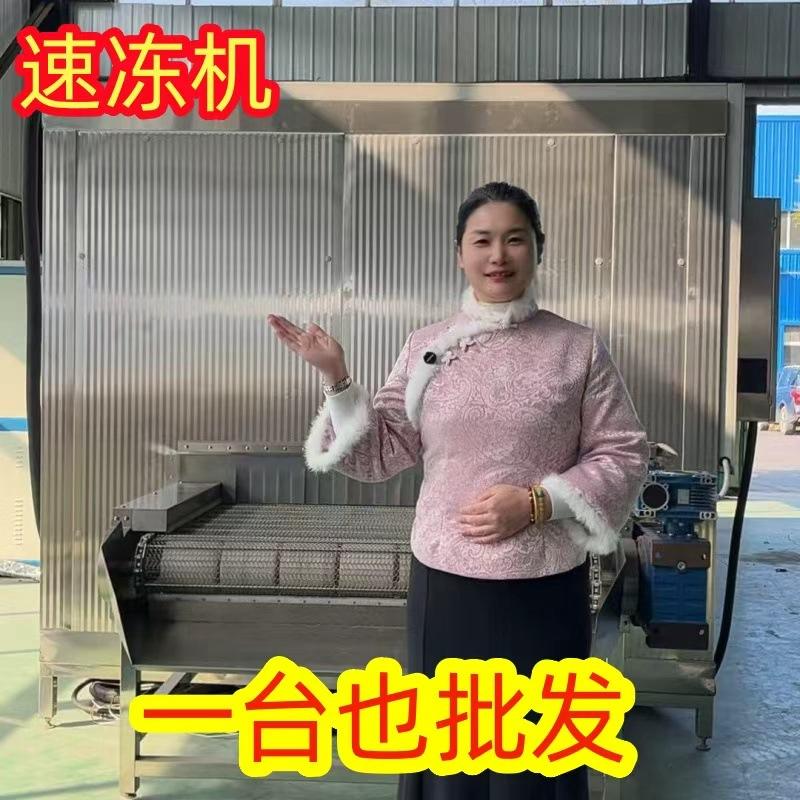 旺源 隧道式速冻机 春卷冷冻线 鸡爪冷冻加工生产设备