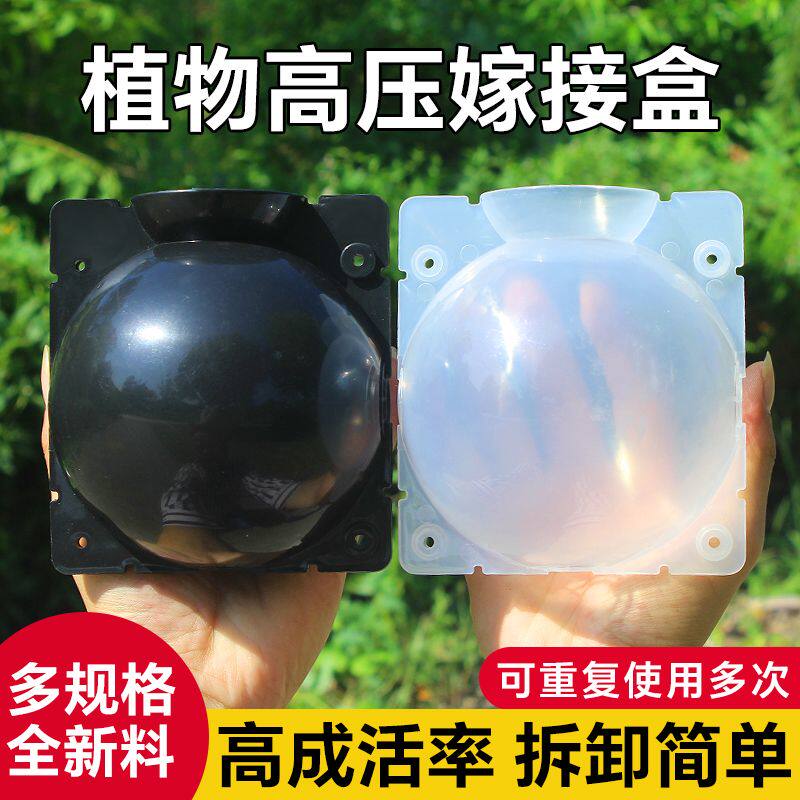 植物高压嫁接盒繁殖球生根包控根神器果树扦插育苗背枝园艺繁殖盒
