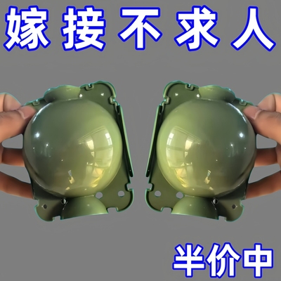 高压盒嫁接盒高压生根繁殖球