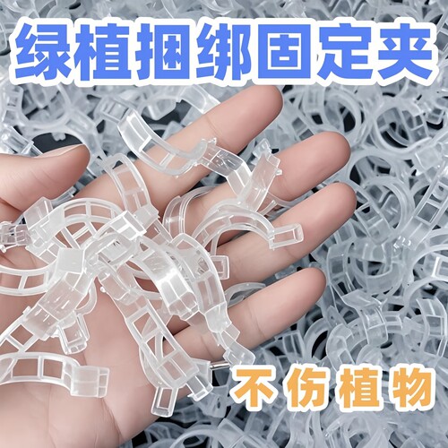 藤曼固定器捆绑固定夹扣