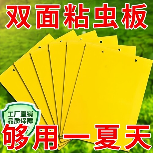 双面粘虫板大棚果园诱捕飞虫