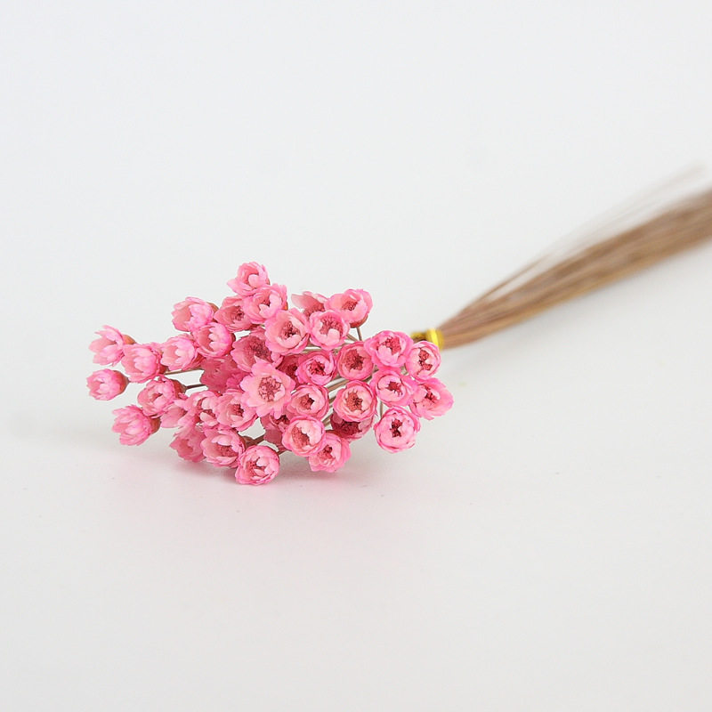 巴西小星花 永生花礼盒配花花材 干花 家居插花 拍照道具