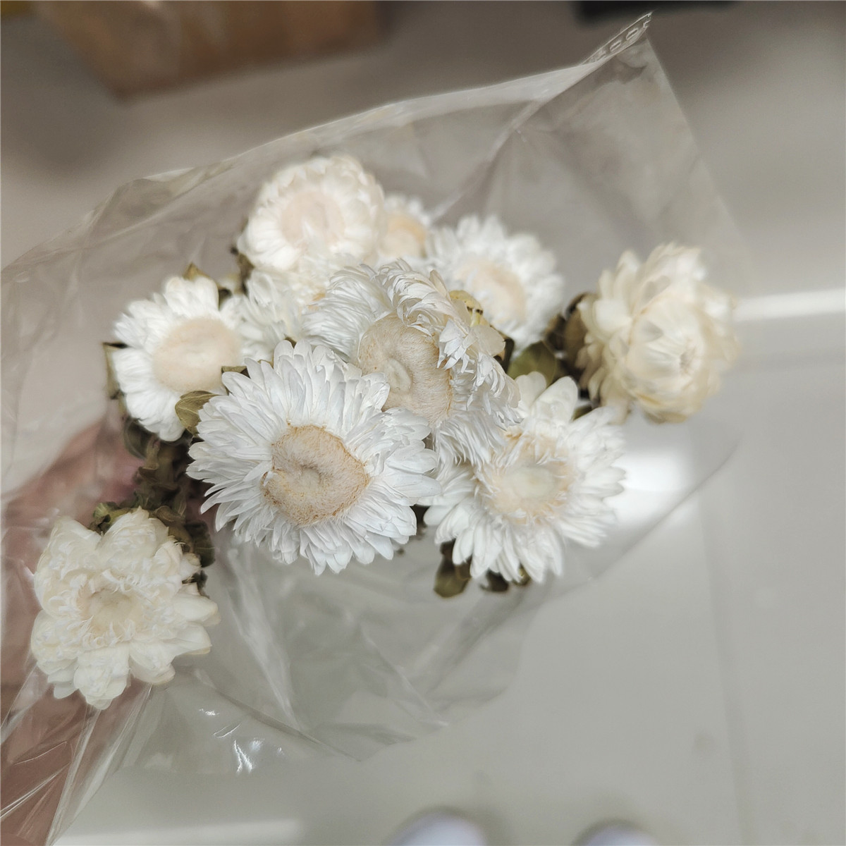 A级精品麦杆菊菠萝菊森系干花真花雏菊插花 家居装饰麦秆菊七彩菊