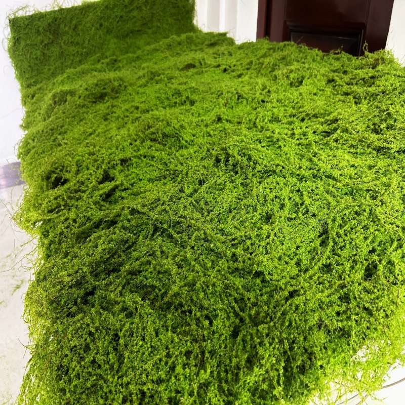 人造青苔草皮草坪鼓苞植物苔藓婚庆花墙植物墙 园林微景观软设计