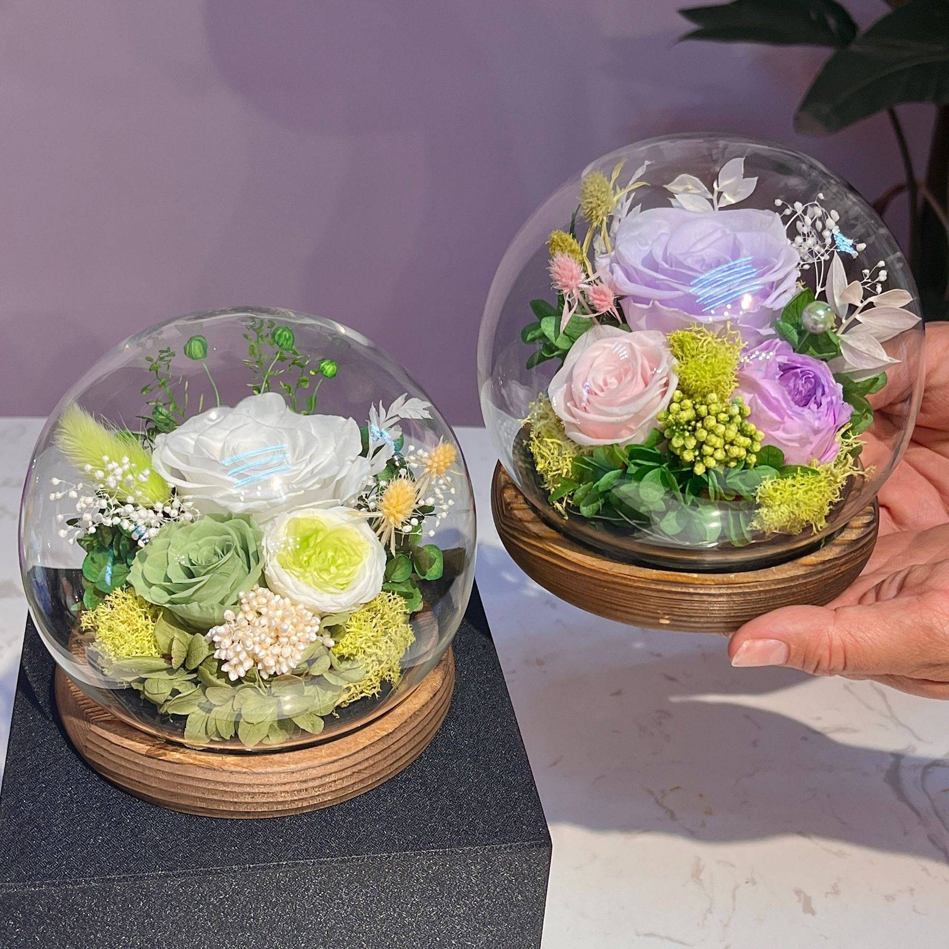 永生花球形玻璃罩玫瑰康乃馨永生花礼品情人节母亲节礼物真花热卖