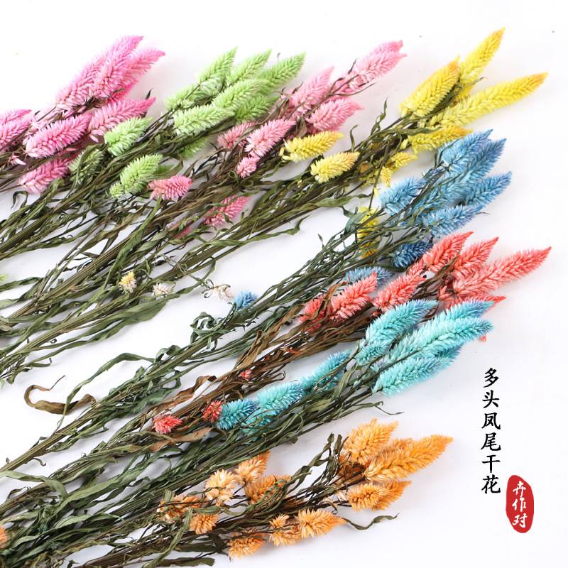 干花多头凤尾干花花束满天星勿忘我情人草干花家居装饰插花