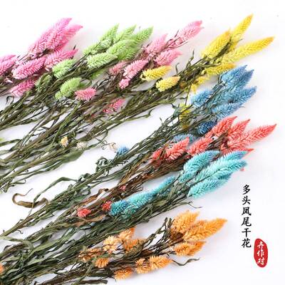 干花多头凤尾干花花束满天星勿忘我情人草干花家居装饰插花