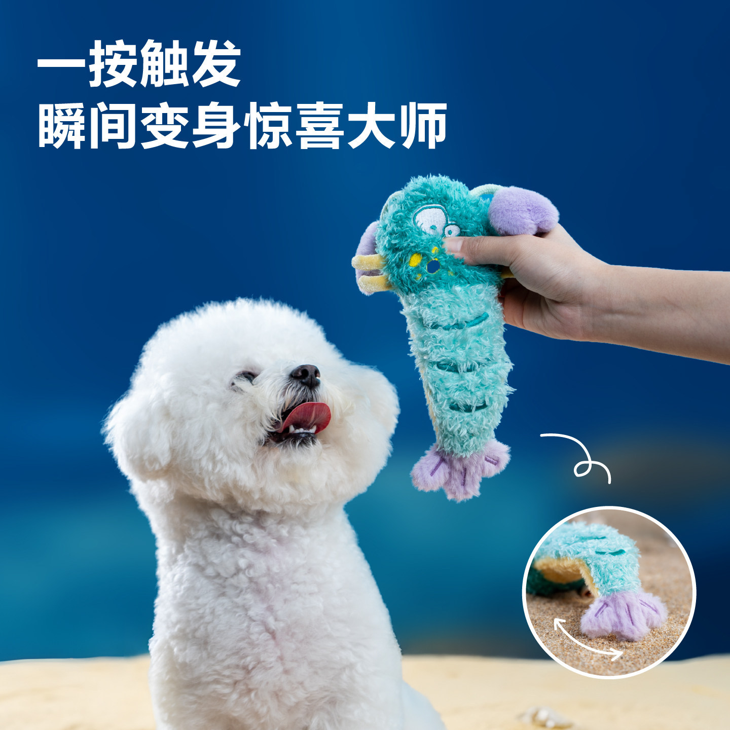 派思维琉璃海境新款狗狗图片