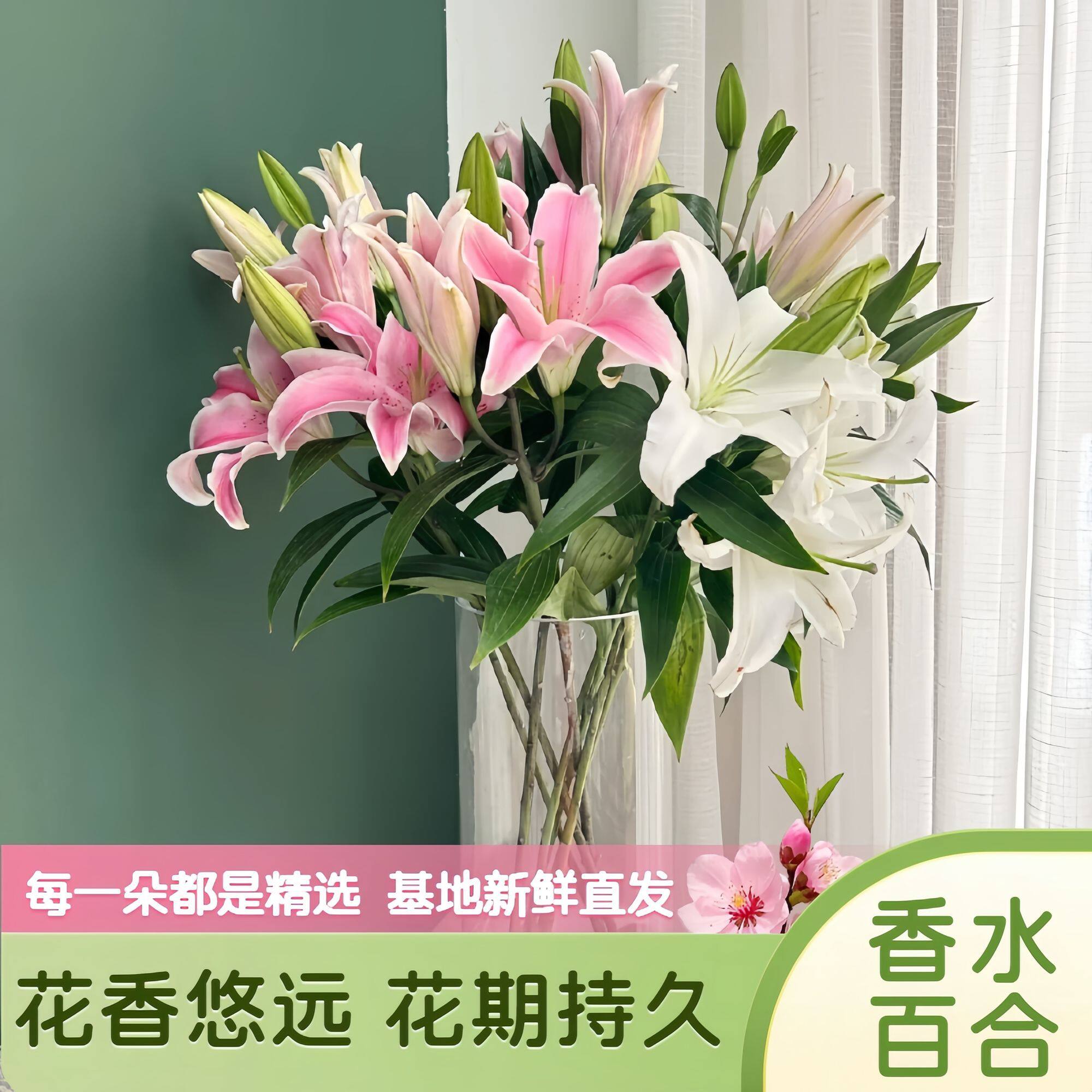 香水百合云南昆明基地现采直发真花鲜花水养插花家用办公客厅阳台