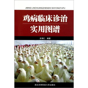 9成新圖書 雞病臨床診治實用圖譜 史瑞仁9787810926614 正版