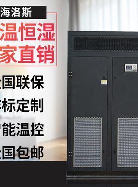 海洛斯M31型30kw12P单冷恒温恒湿专用机房精密空调双系统厂家直销