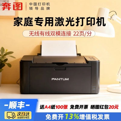 家用政府补贴20%奔图P2509NW
