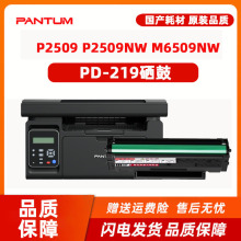 适用奔图PD-219国产硒鼓P2509 P2509NW打印机 M6509 M6509NW粉盒 M6559 M6559NW M6609 M6609NW激光打印机