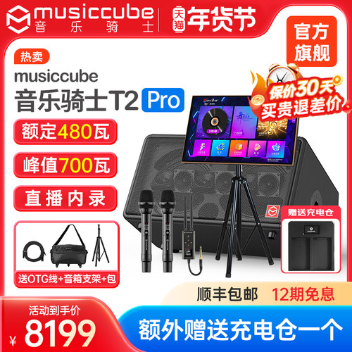 音乐骑士T2pro480W额定功率