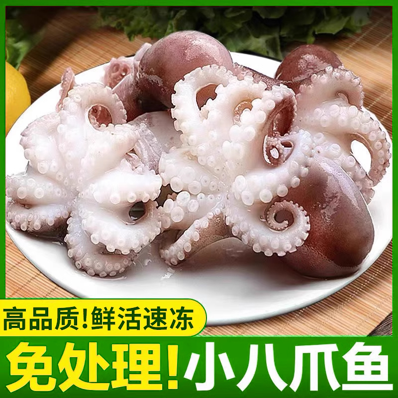 【新鲜八爪鱼免处理】顺丰闪送