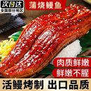 日式 蒲烧鳗鱼新鲜整条烤鳗鱼饭加热即食鲜活鳗鱼寿司商用批发