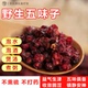 新鲜野生五味子 密封罐300g泡水煮茶泡酒料
