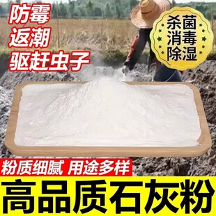 石灰粉消毒杀菌驱虫刷树防潮去湿生石灰粉石灰块菜地鱼塘鸡鸭牛舍
