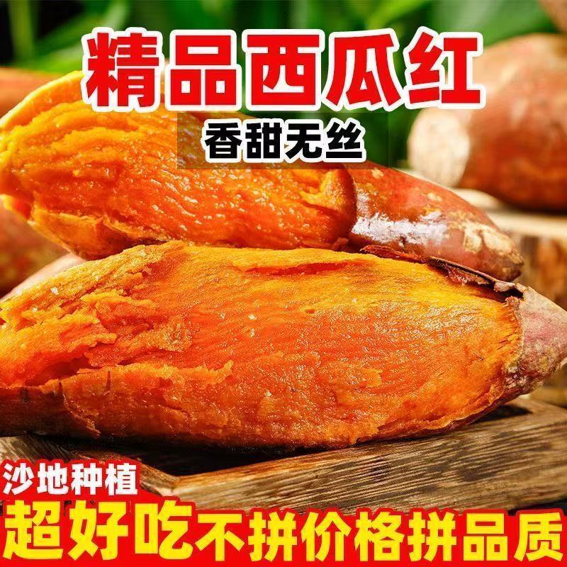 沙地西瓜红蜜薯香甜软糯批发包邮