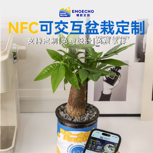 NFC小盆栽摆件定制logo文创创意礼品公司企业周年送客户员工福利