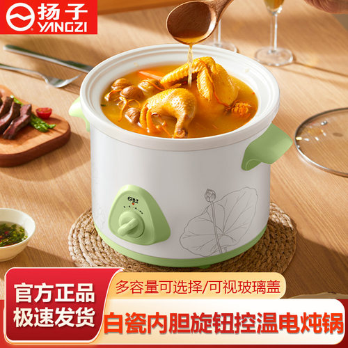 扬子电炖锅煲汤炖汤锅家用