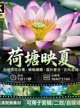 高清4K池塘荷花合集蜻蜓蝴蝶莲叶夏天小荷才露尖角古风视频素材