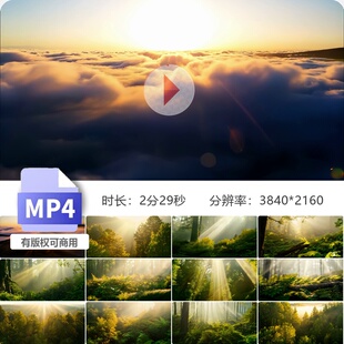 高清清晨森林树林大自然日出丁达尔光线早阳ai唯美风景视频素材