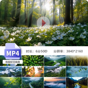 高清森林航拍延时云雾缭绕大山绿水青植物树木清晨阳光视频素材