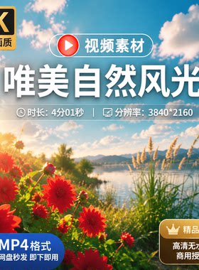高清唯美蓝天白云野花阳光绿草大自然平静湖水雏菊芦苇河边青澈岸