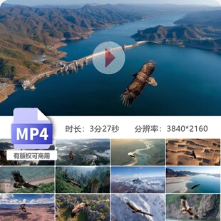 高清老鹰雄鹰翱翔飞行大鹏展翅天空俯冲峡谷雪山悬崖森林视频素材