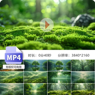 高清森林氧吧青山绿水碳中和自然植被环保公园清晨阳光春视频素材