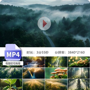 高清森林大自然清晨阳光照耀原始森林树影雾气生态航拍视频素材