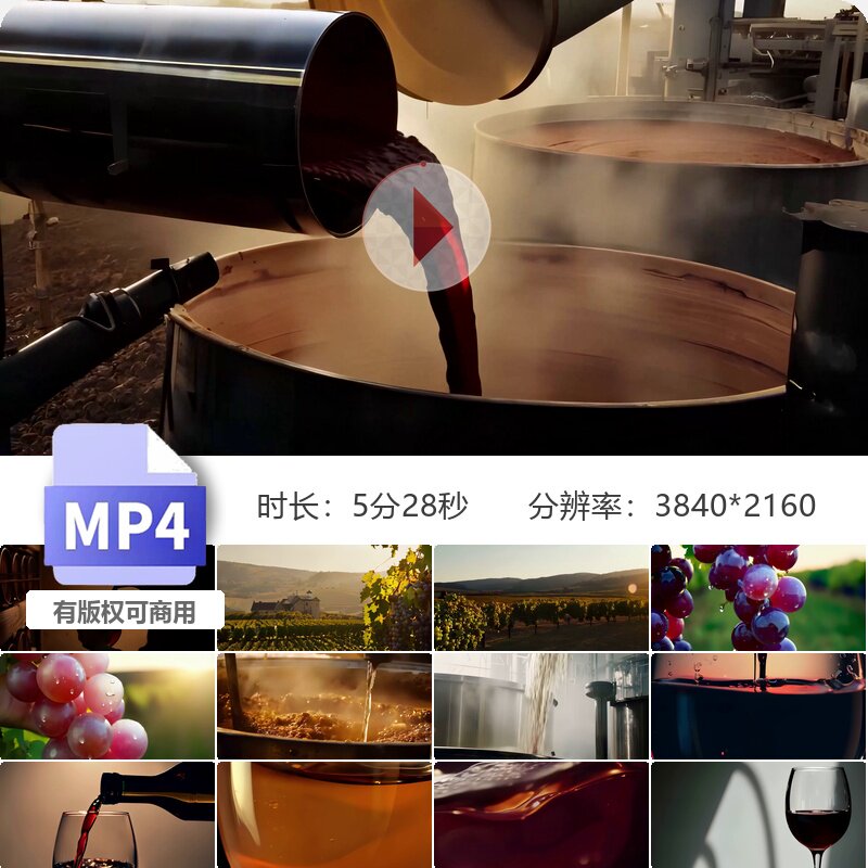 高清波尔图酒庄葡萄种植采摘压榨酿造葡萄酒品酒师品鉴视频素材