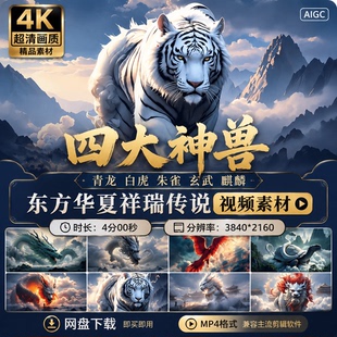 高清中国四大神兽青龙白虎朱雀玄武麒麟东方华夏祥瑞传说视频素材
